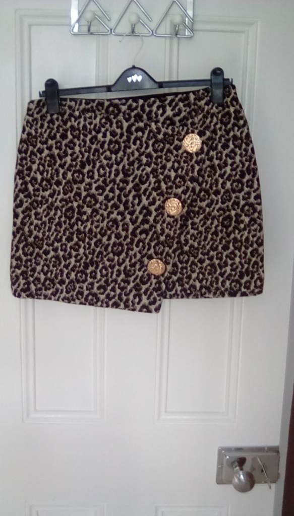 Size 16 Skirt from River Island