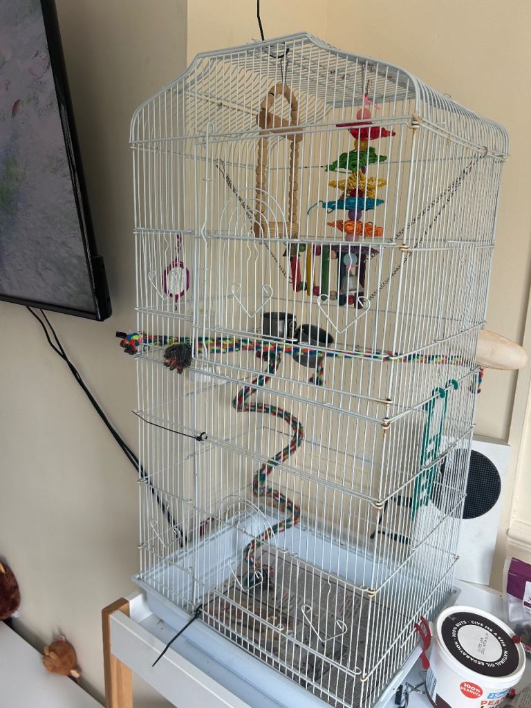 Bird cage 