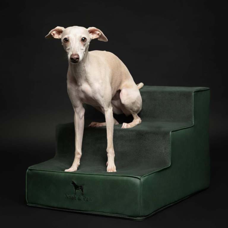new in packaging - Noah & Paw Dog Stairs (16" Extra Wide) Durable 3 Pet Steps