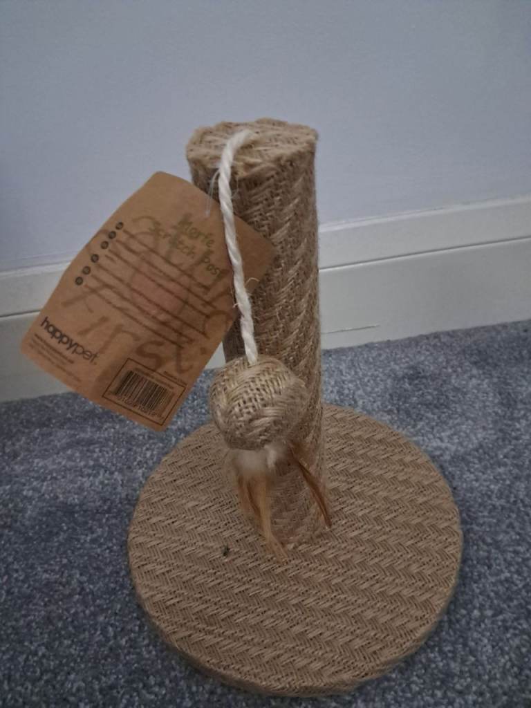 Cat / kitten scratching pole toy