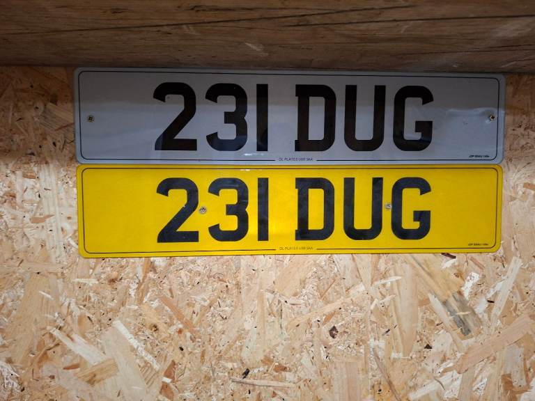 231 DUG
