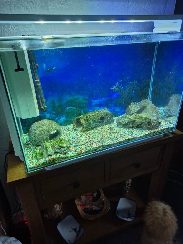 Fish tank