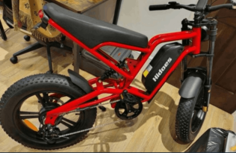 Hidoes B6 Electric Bike 