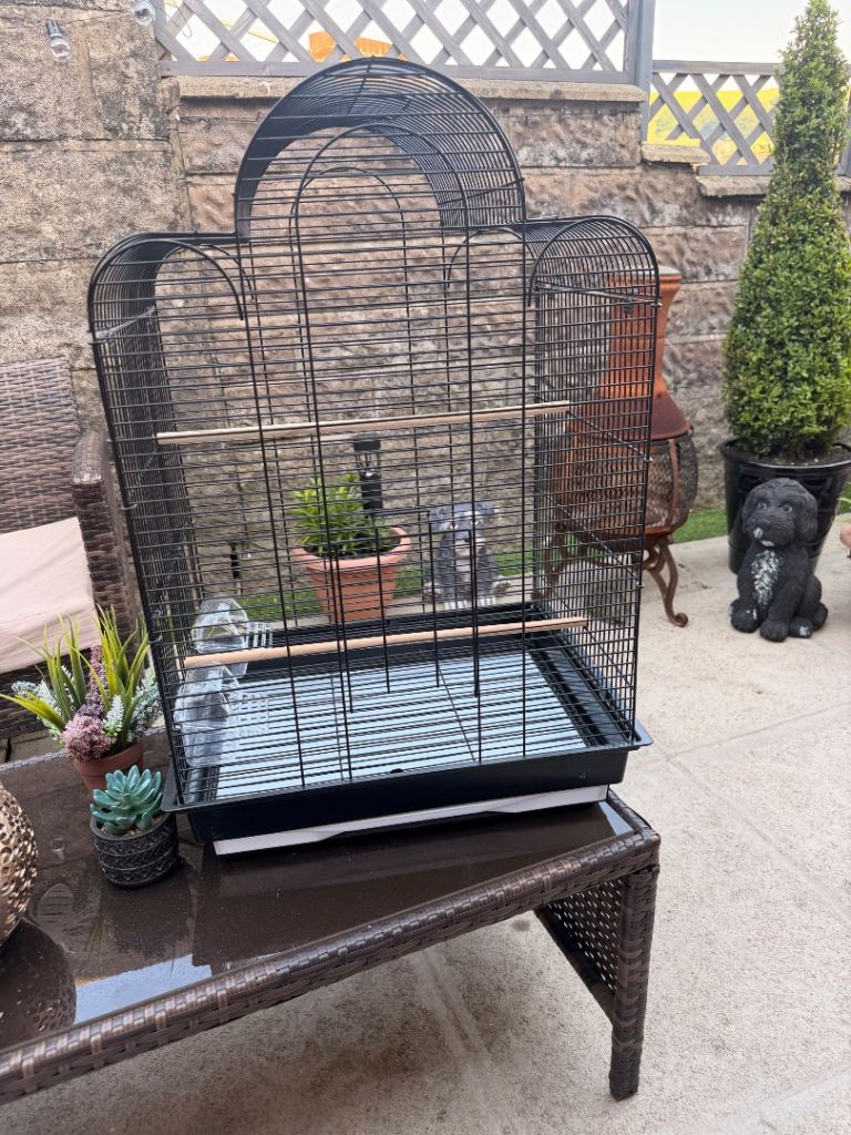 Black bird cage 