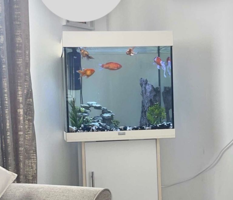 Fish Tank 