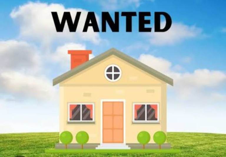 Home wanted