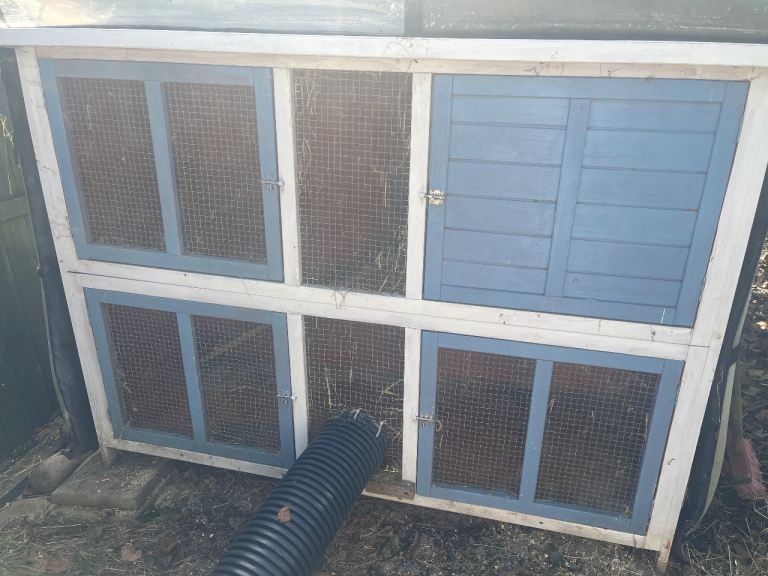 Rabbit hutch and runs