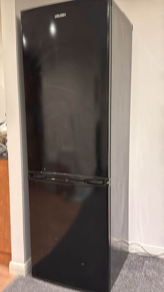 Large Free-standing Fridge/Freezer