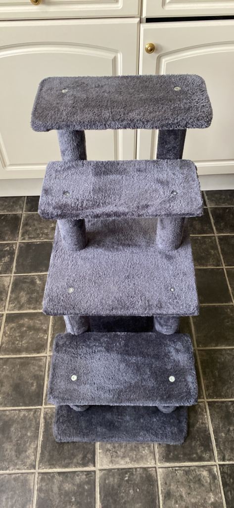 Cat set of steps