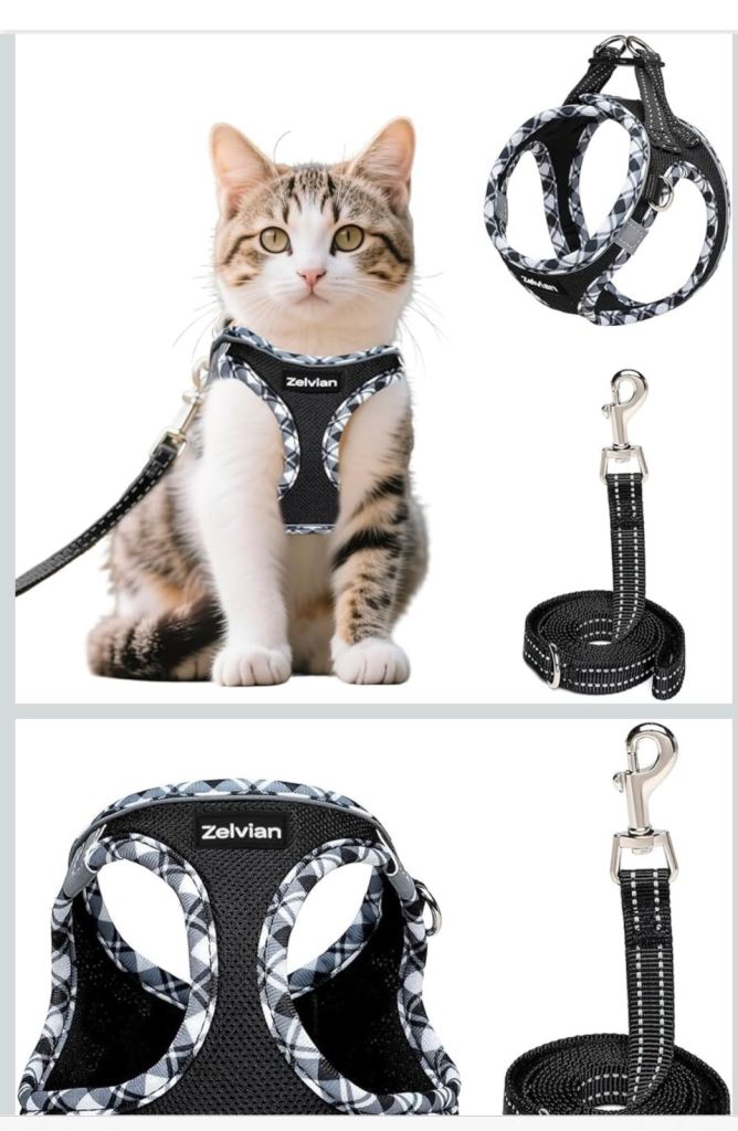 Cat & small dog harnesses 