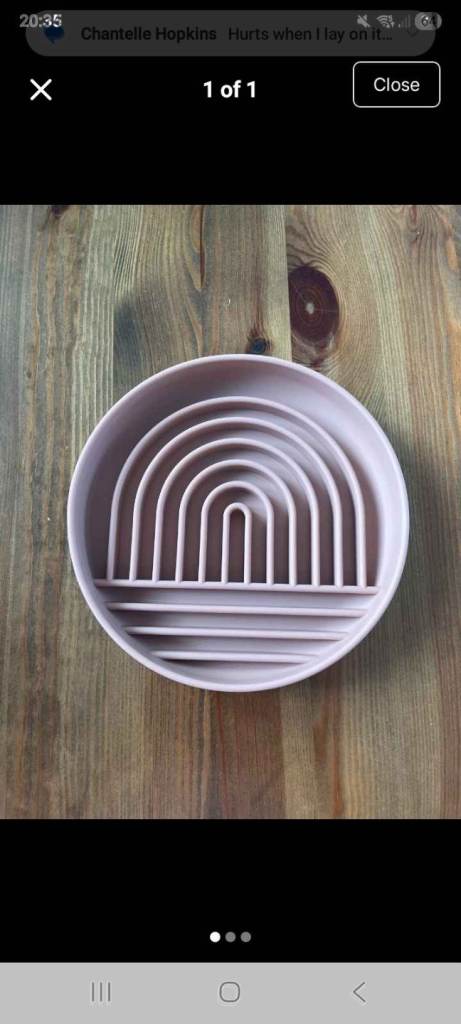 Slow feeding pet bowl