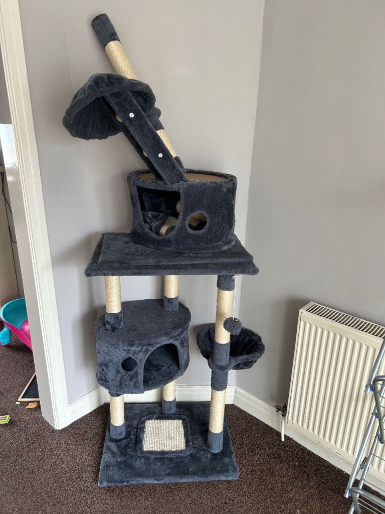 Cat climber 