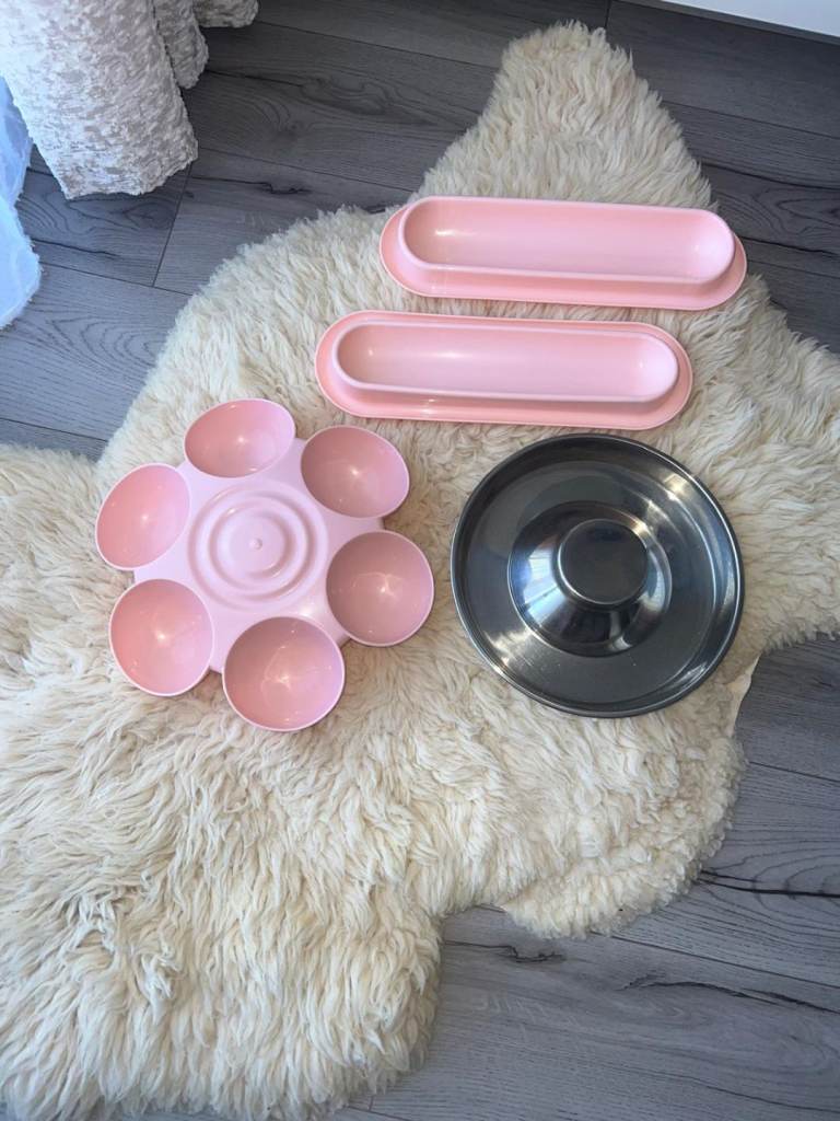 Set of kittens cats feeding bowls