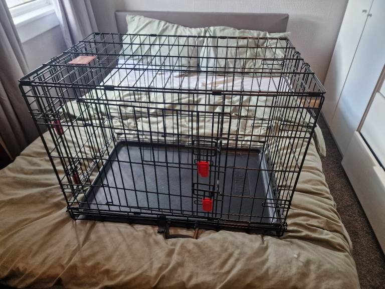Kong Dog Crate