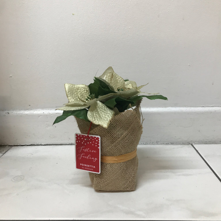 Artificial White Plastic Poinsettia in Hessian Christmas Decor Decoration 