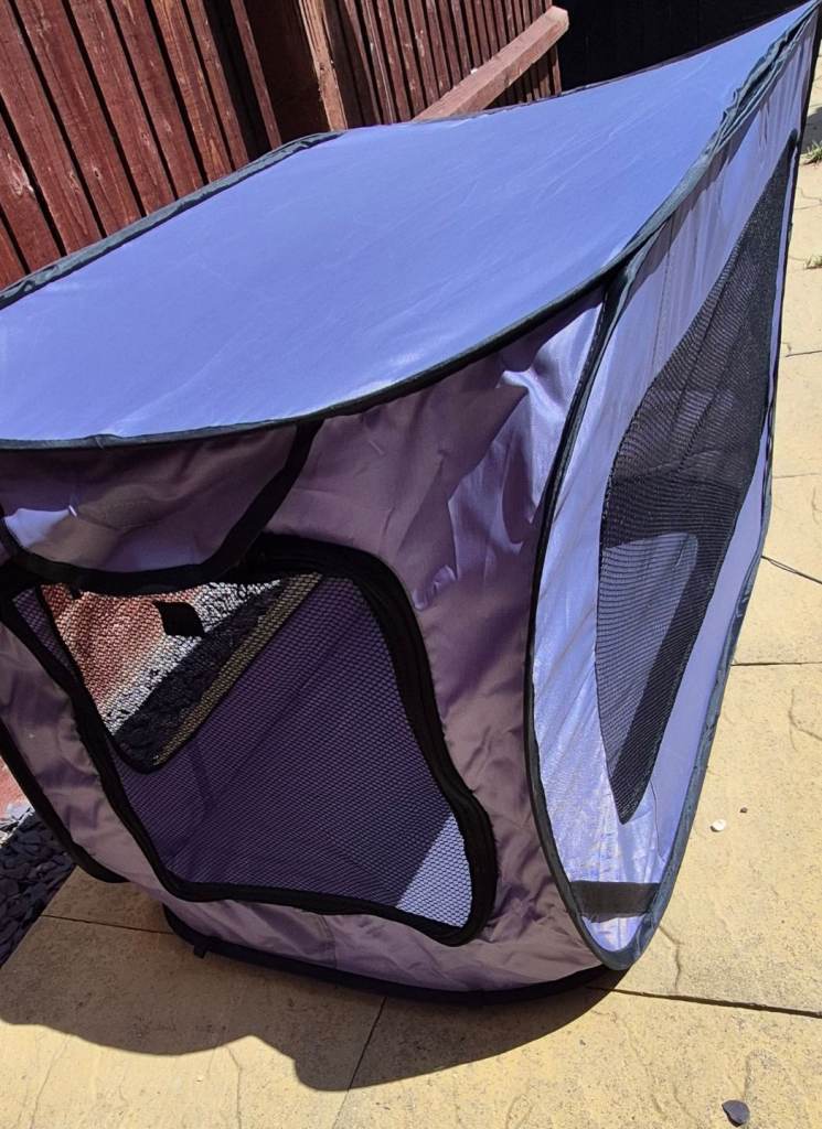 Popup small dog crate