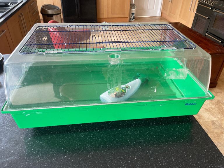Hamster and mic cage 