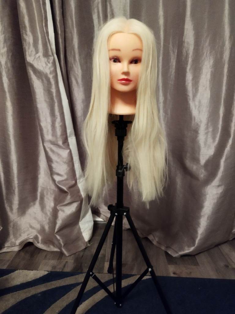 Hair model head