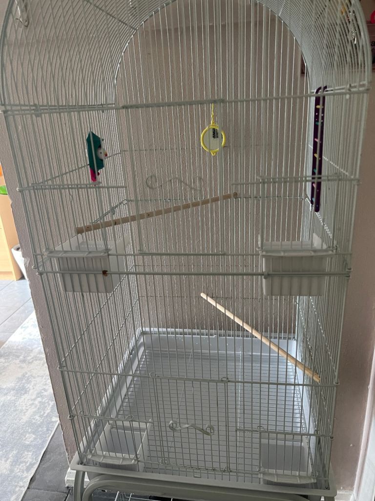 Sale parrot cage