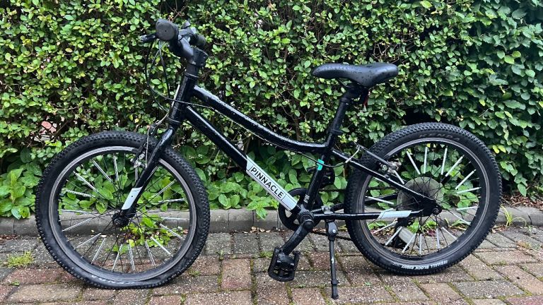 Pinnacle Ash Kids Mountain Bike - 20 inch wheels, good condition