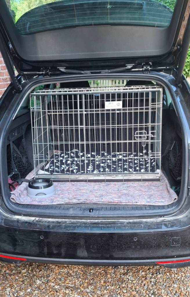Car  Dog Crate