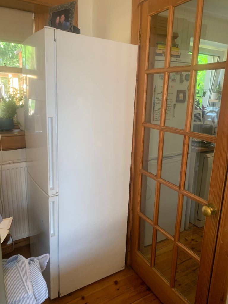 Large Bosch fridge freezer 