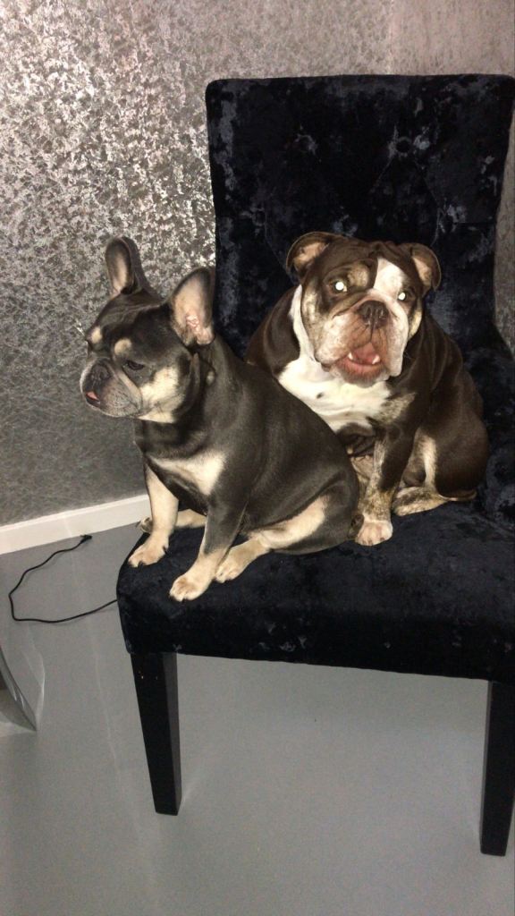 Two best friends 3 years old 
