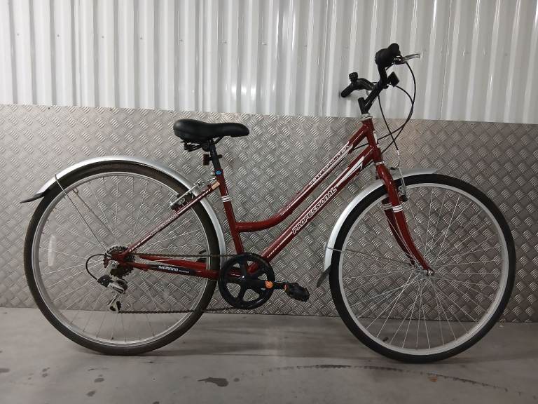 Ladies professional city bike 