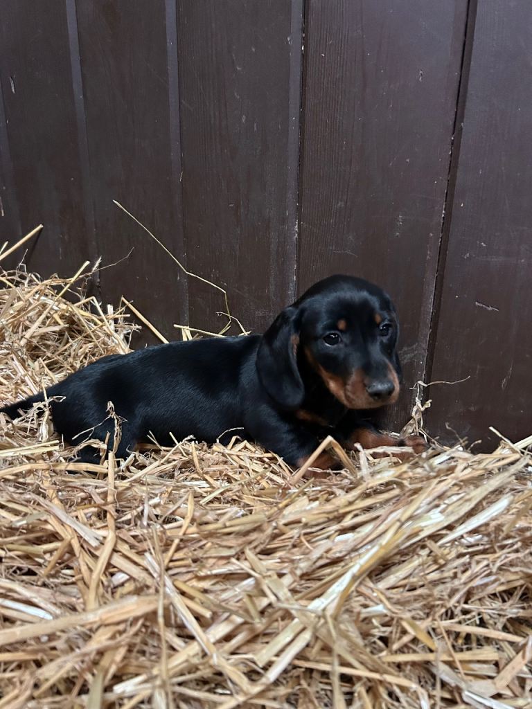 KC reg, PRA clear, ready to go now.