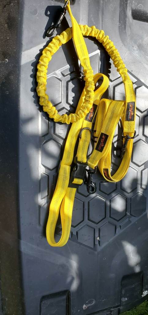 Running lead with belt