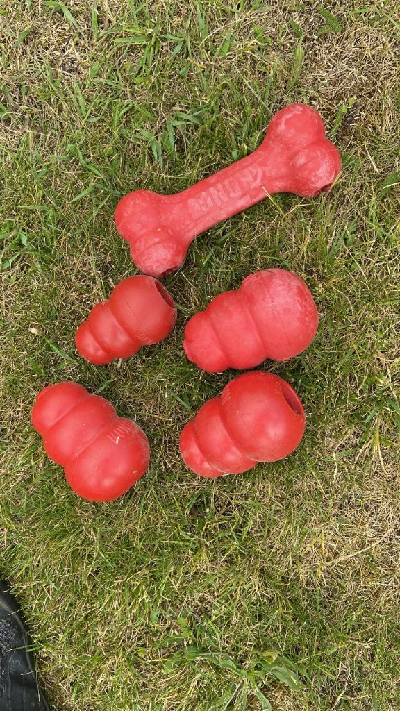 KONG Dog Toys - Bone & Wobblers