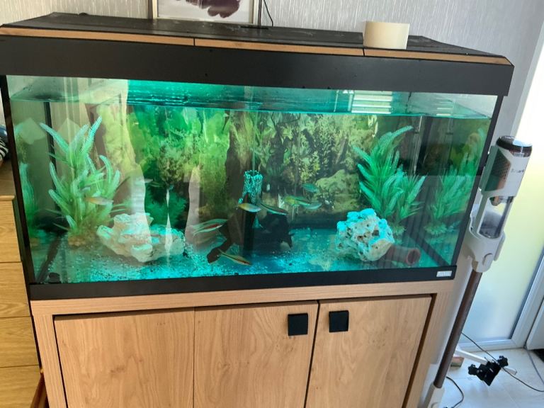 Fluval  200 ltrs aquarium and fish if wanted 