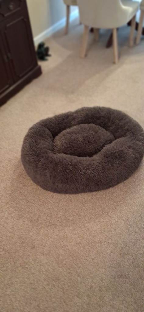 Dog bed