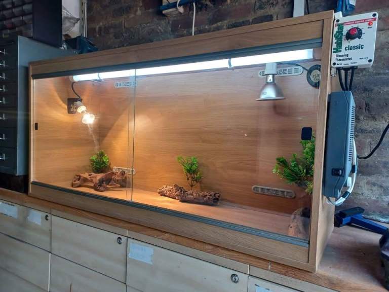 Vivarium LARGE 4ft with electrics