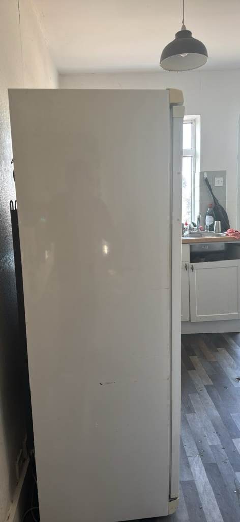 Tall freezer free delivery