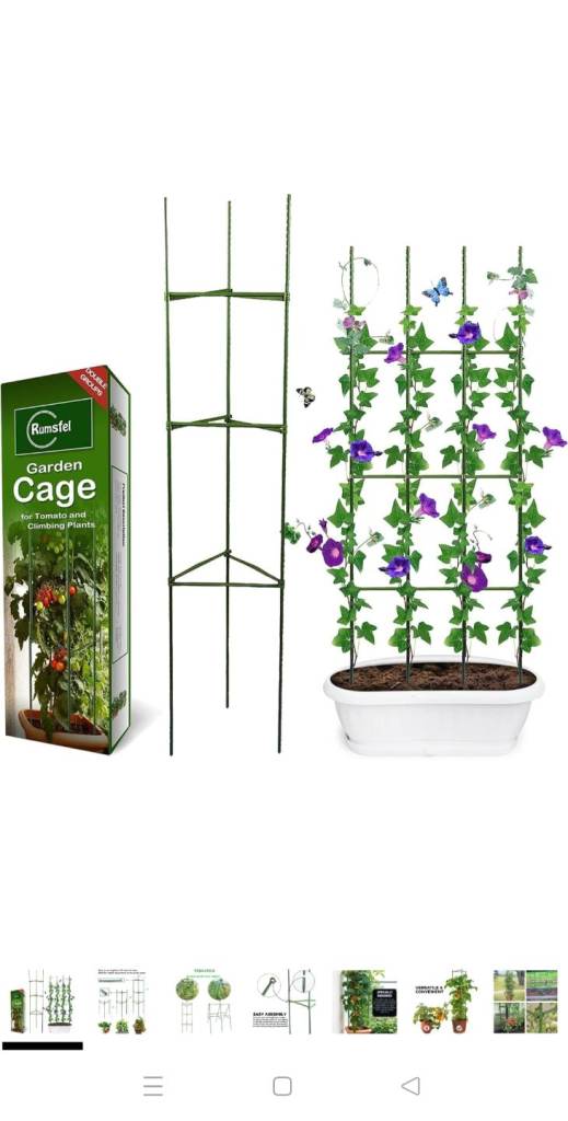 Tomato plant support cage
