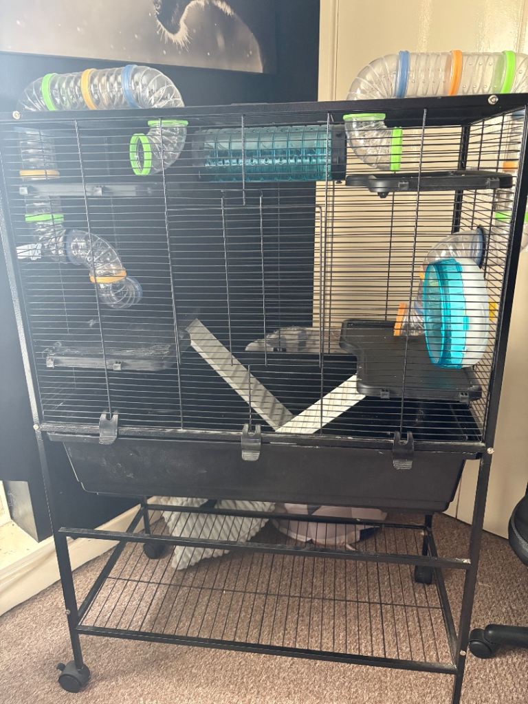 Large hamster/rat cage with wheels, storage shelf& ramps. 