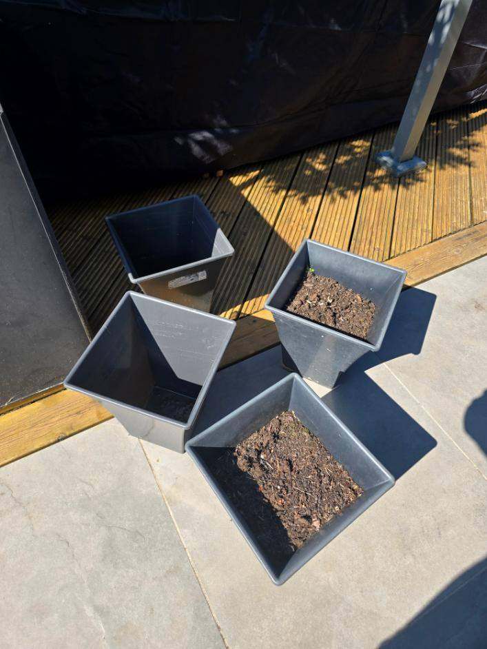 Set of 4 Grey Square Garden Planters – Good Condition