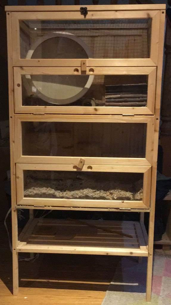 Multi-level hamster cage