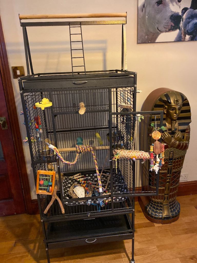 Large bird cage. 