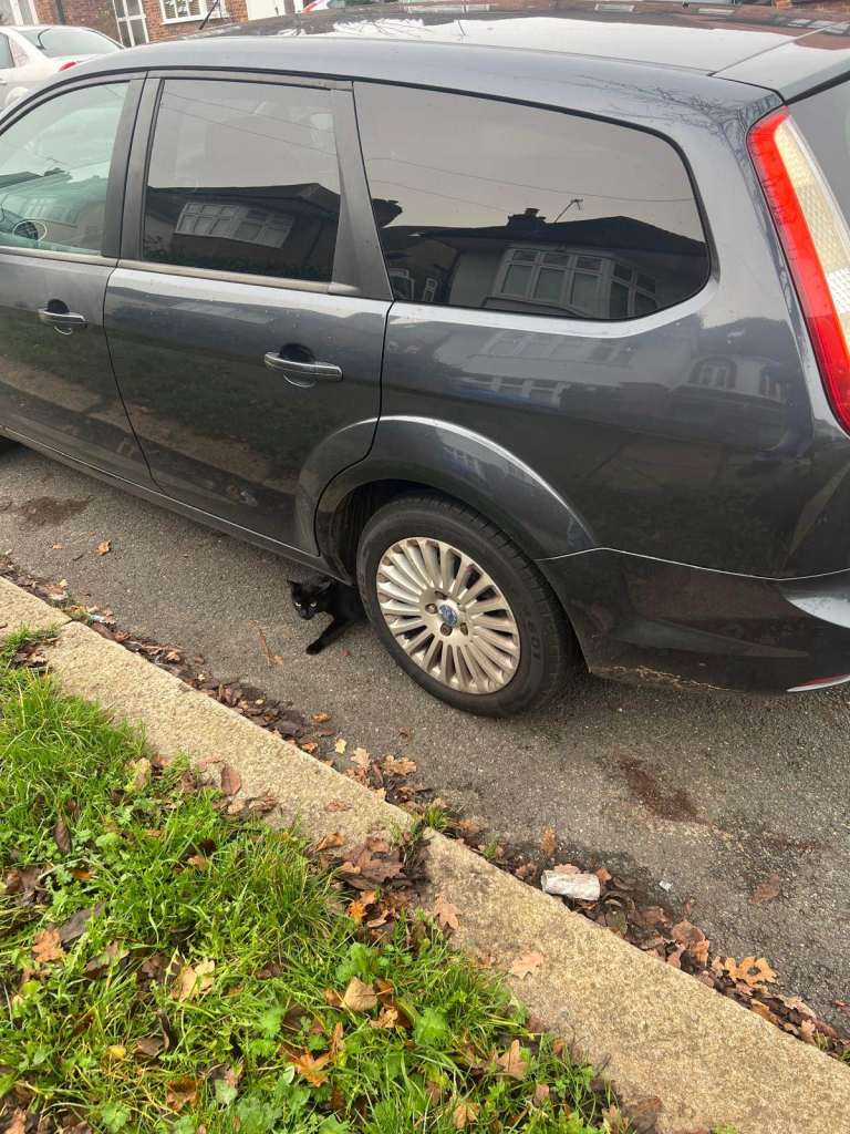 Ford, FOCUS, Estate, 2008, Manual, 1596 (cc), 5 doors