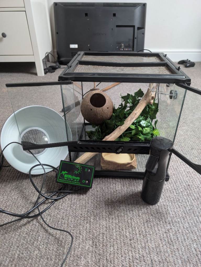 Reptile Baby / Gecko enclosure