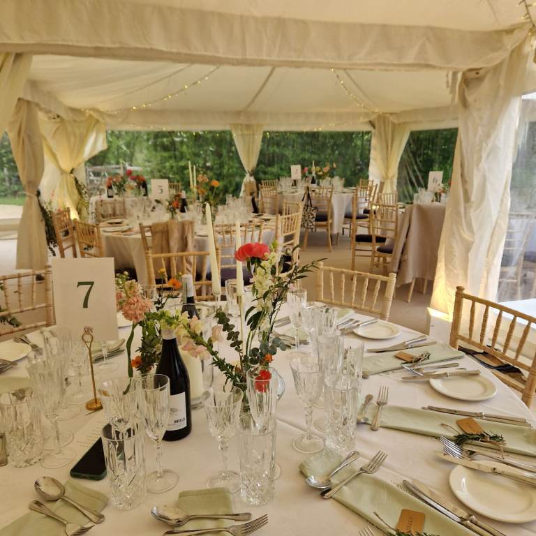 Sage green linen napkins