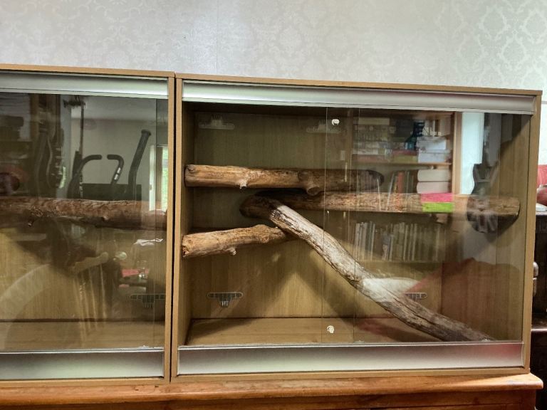 Large Arboreal Vivarium