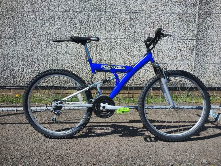 Blue Mountain Bike