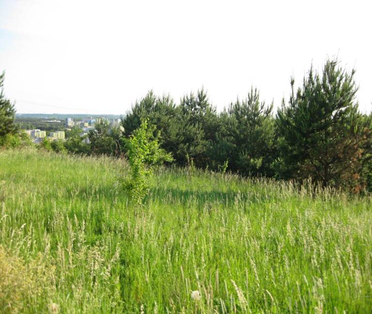 landscaping tasks in Lincoln, swap for a plot of land various locations last few get in touch