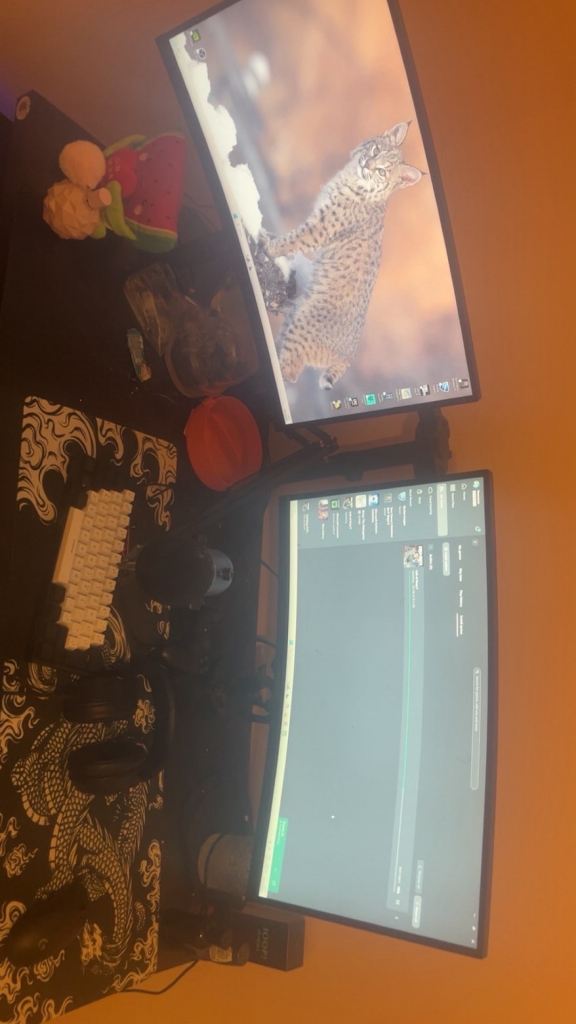 Complete Gaming Setup