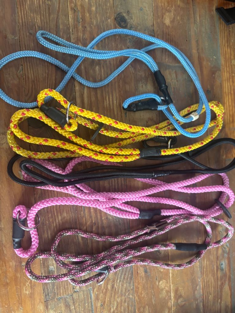 Dummies dog training toys and slip leads 