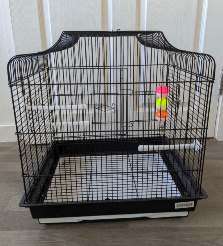 Bird Cage 