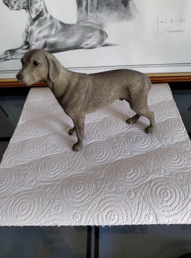 Weimaraner framed pencil picture and ornament 